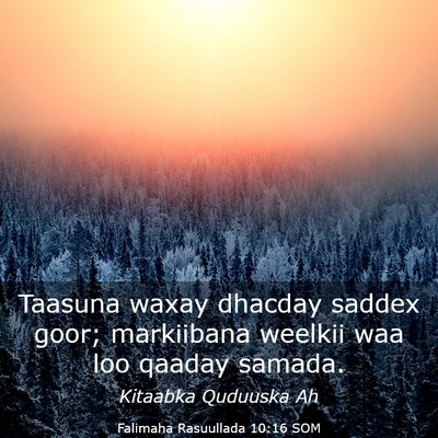 Picture 03 - Falimaha Rasuullada 10:16 SOM - Taasuna waxay dhacday saddex goor; markiibana - Bible Verse Picture