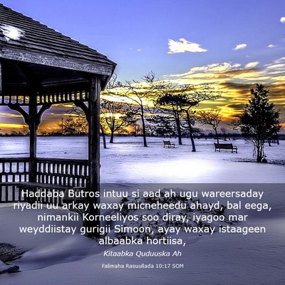 Picture 03 - Falimaha Rasuullada 10:17 SOM - Haddaba Butros intuu si aad ah ugu wareersaday - Bible Verse Picture