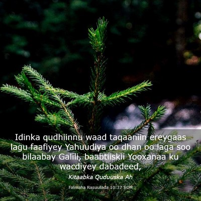 Picture 03 - Falimaha Rasuullada 10:37 SOM - Idinka qudhiinnu waad taqaaniin ereygaas lagu - Bible Verse Picture