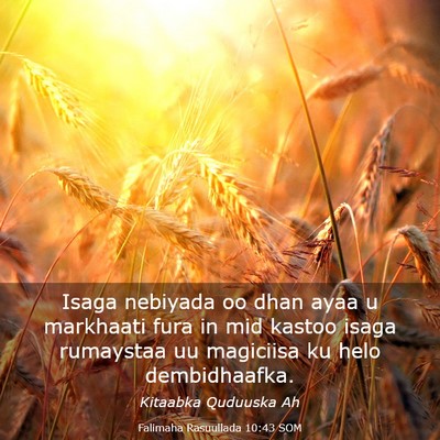 Picture 03 - Falimaha Rasuullada 10:43 SOM - Isaga nebiyada oo dhan ayaa u markhaati fura in - Bible Verse Picture