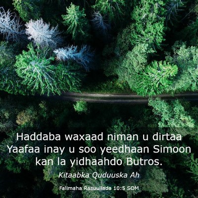 Picture 03 - Falimaha Rasuullada 10:5 SOM - Haddaba waxaad niman u dirtaa Yaafaa inay u soo - Bible Verse Picture
