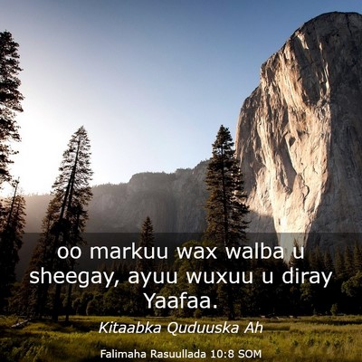 Picture 03 - Falimaha Rasuullada 10:8 SOM - oo markuu wax walba u sheegay, ayuu wuxuu u diray - Bible Verse Picture