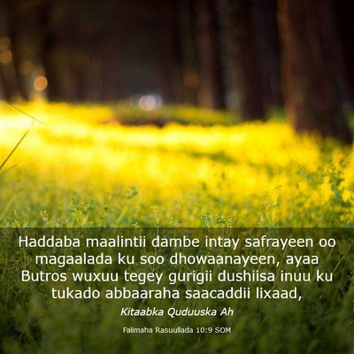 Picture 03 - Falimaha Rasuullada 10:9 SOM - Haddaba maalintii dambe intay safrayeen oo - Bible Verse Picture