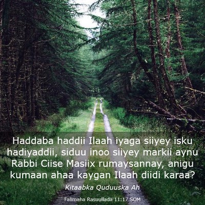 Picture 03 - Falimaha Rasuullada 11:17 SOM - Haddaba haddii Ilaah iyaga siiyey isku - Bible Verse Picture
