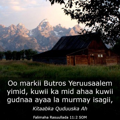 Picture 03 - Falimaha Rasuullada 11:2 SOM - Oo markii Butros Yeruusaalem yimid, kuwii ka mid - Bible Verse Picture
