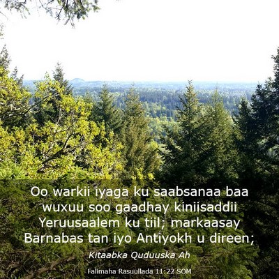 Picture 03 - Falimaha Rasuullada 11:22 SOM - Oo warkii iyaga ku saabsanaa baa wuxuu soo - Bible Verse Picture