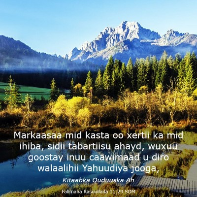 Picture 03 - Falimaha Rasuullada 11:29 SOM - Markaasaa mid kasta oo xertii ka mid ihiba, sidii - Bible Verse Picture