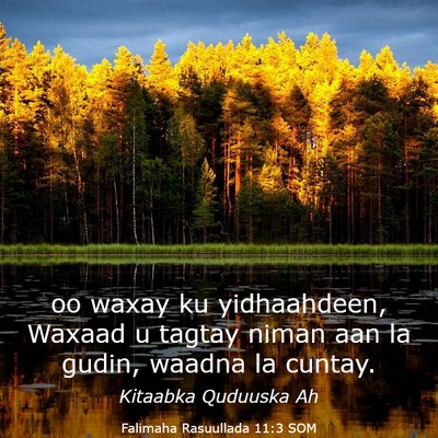 Picture 03 - Falimaha Rasuullada 11:3 SOM - oo waxay ku yidhaahdeen, Waxaad u tagtay niman - Bible Verse Picture