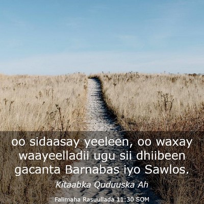 Picture 03 - Falimaha Rasuullada 11:30 SOM - oo sidaasay yeeleen, oo waxay waayeelladii ugu - Bible Verse Picture