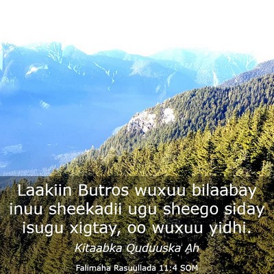 Picture 03 - Falimaha Rasuullada 11:4 SOM - Laakiin Butros wuxuu bilaabay inuu sheekadii ugu - Bible Verse Picture