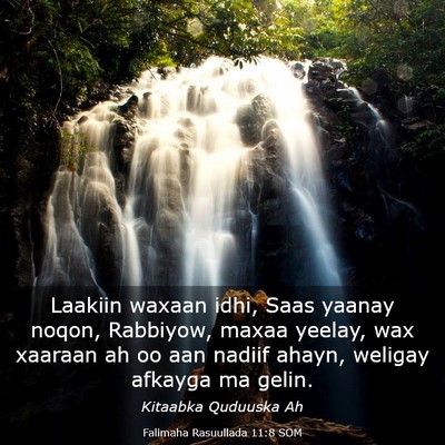 Picture 03 - Falimaha Rasuullada 11:8 SOM - Laakiin waxaan idhi, Saas yaanay noqon, Rabbiyow, - Bible Verse Picture