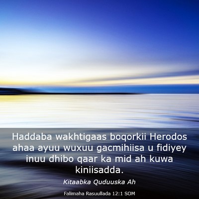 Picture 03 - Falimaha Rasuullada 12:1 SOM - Haddaba wakhtigaas boqorkii Herodos ahaa ayuu - Bible Verse Picture
