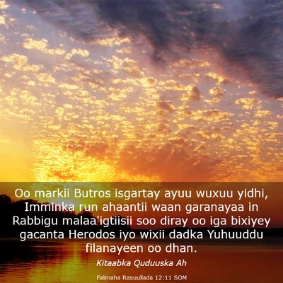 Picture 03 - Falimaha Rasuullada 12:11 SOM - Oo markii Butros isgartay ayuu wuxuu yidhi, - Bible Verse Picture