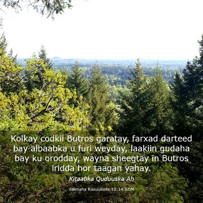 Picture 03 - Falimaha Rasuullada 12:14 SOM - Kolkay codkii Butros garatay, farxad darteed bay - Bible Verse Picture