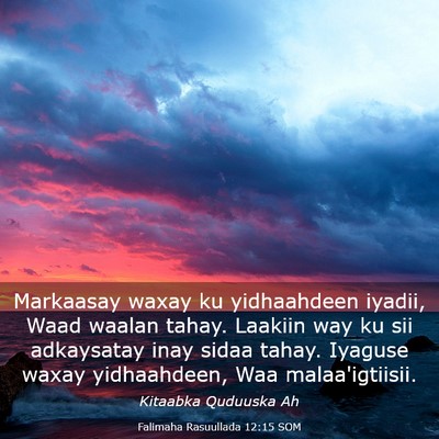 Picture 03 - Falimaha Rasuullada 12:15 SOM - Markaasay waxay ku yidhaahdeen iyadii, Waad - Bible Verse Picture