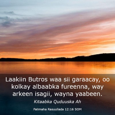 Picture 03 - Falimaha Rasuullada 12:16 SOM - Laakiin Butros waa sii garaacay, oo kolkay - Bible Verse Picture