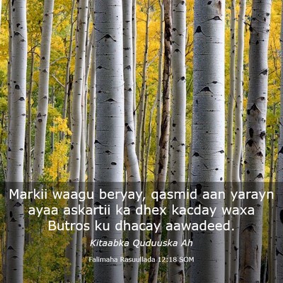 Picture 03 - Falimaha Rasuullada 12:18 SOM - Markii waagu beryay, qasmid aan yarayn ayaa - Bible Verse Picture