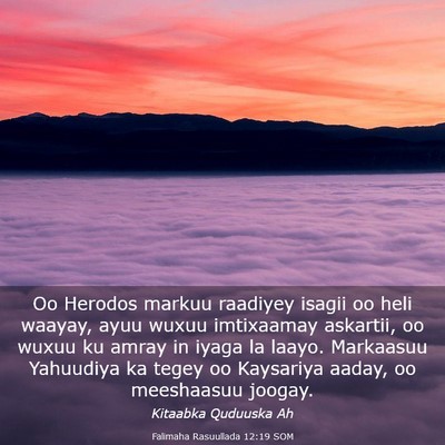 Picture 03 - Falimaha Rasuullada 12:19 SOM - Oo Herodos markuu raadiyey isagii oo heli waayay, - Bible Verse Picture