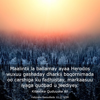 Picture 03 - Falimaha Rasuullada 12:21 SOM - Maalintii la ballamay ayaa Herodos wuxuu gashaday - Bible Verse Picture
