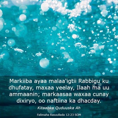 Picture 03 - Falimaha Rasuullada 12:23 SOM - Markiiba ayaa malaa'igtii Rabbigu ku dhufatay, - Bible Verse Picture