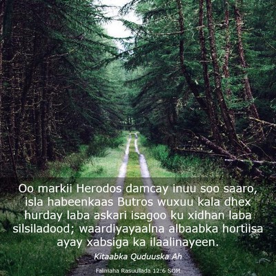 Picture 03 - Falimaha Rasuullada 12:6 SOM - Oo markii Herodos damcay inuu soo saaro, isla - Bible Verse Picture