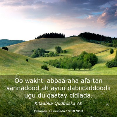 Picture 03 - Falimaha Rasuullada 13:18 SOM - Oo wakhti abbaaraha afartan sannadood ah ayuu - Bible Verse Picture