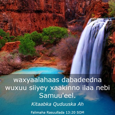Picture 03 - Falimaha Rasuullada 13:20 SOM - waxyaalahaas dabadeedna wuxuu siiyey xaakinno - Bible Verse Picture