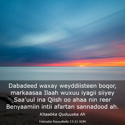 Picture 03 - Falimaha Rasuullada 13:21 SOM - Dabadeed waxay weyddiisteen boqor, markaasaa - Bible Verse Picture