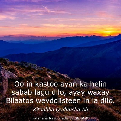 Picture 03 - Falimaha Rasuullada 13:28 SOM - Oo in kastoo ayan ka helin sabab lagu dilo, ayay - Bible Verse Picture