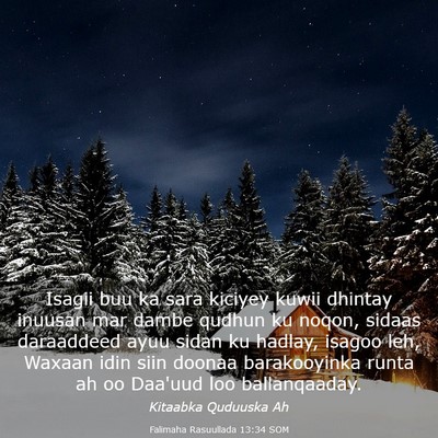 Picture 03 - Falimaha Rasuullada 13:34 SOM - Isagii buu ka sara kiciyey kuwii dhintay inuusan - Bible Verse Picture