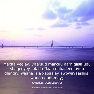 Picture 03 - Falimaha Rasuullada 13:36 SOM - Maxaa yeelay, Daa'uud markuu qarnigiisa ugu - Bible Verse Picture