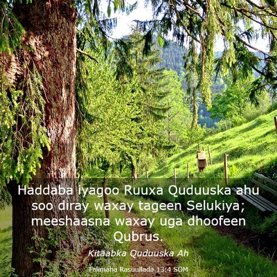 Picture 03 - Falimaha Rasuullada 13:4 SOM - Haddaba iyagoo Ruuxa Quduuska ahu soo diray waxay - Bible Verse Picture