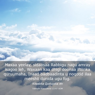 Picture 03 - Falimaha Rasuullada 13:47 SOM - Maxaa yeelay, sidaasaa Rabbigu nagu amray isagoo - Bible Verse Picture