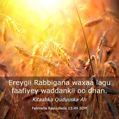 Picture 03 - Falimaha Rasuullada 13:49 SOM - Ereygii Rabbigana waxaa lagu faafiyey waddankii - Bible Verse Picture