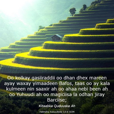 Picture 03 - Falimaha Rasuullada 13:6 SOM - Oo kolkay gasiiraddii oo dhan dhex mareen ayay - Bible Verse Picture
