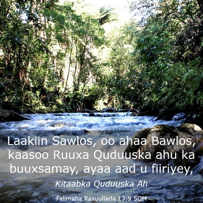 Picture 03 - Falimaha Rasuullada 13:9 SOM - Laakiin Sawlos, oo ahaa Bawlos, kaasoo Ruuxa - Bible Verse Picture