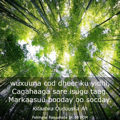 Picture 03 - Falimaha Rasuullada 14:10 SOM - wuxuuna cod dheer ku yidhi, Cagahaaga sare isugu - Bible Verse Picture