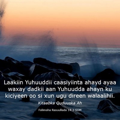 Picture 03 - Falimaha Rasuullada 14:2 SOM - Laakiin Yuhuuddii caasiyiinta ahayd ayaa waxay - Bible Verse Picture
