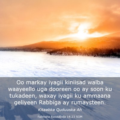 Picture 03 - Falimaha Rasuullada 14:23 SOM - Oo markay iyagii kiniisad walba waayeello uga - Bible Verse Picture