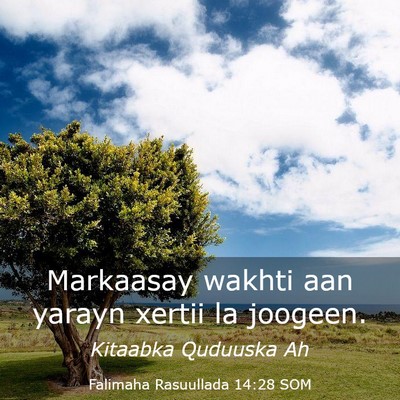 Picture 03 - Falimaha Rasuullada 14:28 SOM - Markaasay wakhti aan yarayn xertii la - Bible Verse Picture