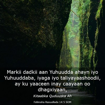 Picture 03 - Falimaha Rasuullada 14:5 SOM - Markii dadkii aan Yuhuudda ahayn iyo Yuhuuddaba, - Bible Verse Picture