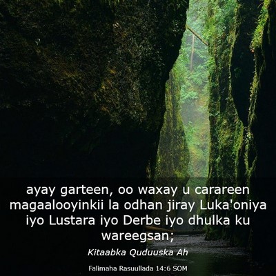 Picture 03 - Falimaha Rasuullada 14:6 SOM - ayay garteen, oo waxay u carareen magaalooyinkii - Bible Verse Picture