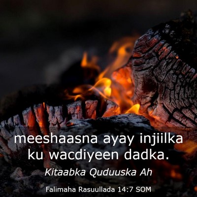 Picture 03 - Falimaha Rasuullada 14:7 SOM - meeshaasna ayay injiilka ku wacdiyeen - Bible Verse Picture
