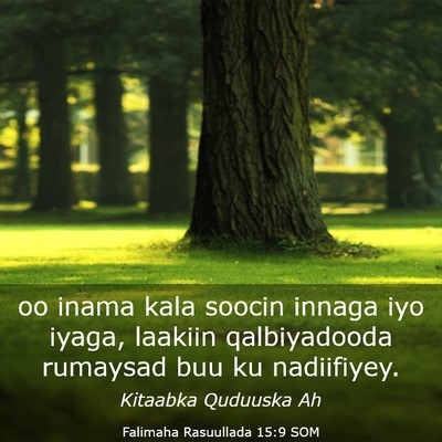 Picture 03 - Falimaha Rasuullada 15:9 SOM - oo inama kala soocin innaga iyo iyaga, laakiin - Bible Verse Picture
