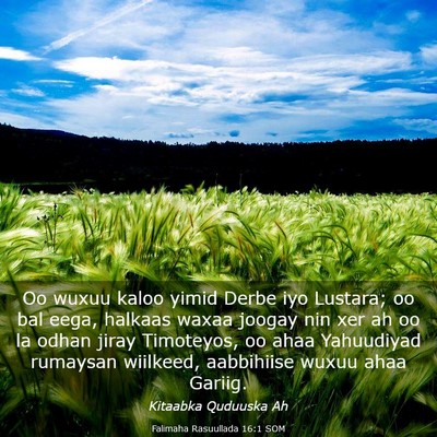 Picture 03 - Falimaha Rasuullada 16:1 SOM - Oo wuxuu kaloo yimid Derbe iyo Lustara; oo bal - Bible Verse Picture
