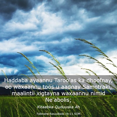 Picture 03 - Falimaha Rasuullada 16:11 SOM - Haddaba ayaannu Taroo'as ka dhoofnay, oo waxaannu - Bible Verse Picture