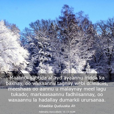 Picture 03 - Falimaha Rasuullada 16:13 SOM - Maalintii sabtida ahayd ayaannu iridda ka baxnay, - Bible Verse Picture