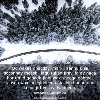 Picture 03 - Falimaha Rasuullada 16:16 SOM - Oo waxaa dhacday, markii aannu u sii soconnay - Bible Verse Picture