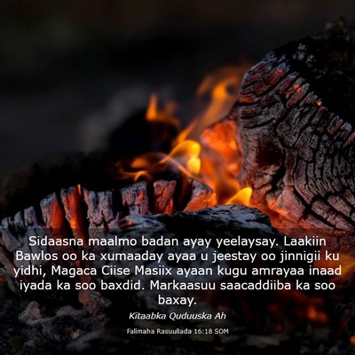 Picture 03 - Falimaha Rasuullada 16:18 SOM - Sidaasna maalmo badan ayay yeelaysay. Laakiin - Bible Verse Picture