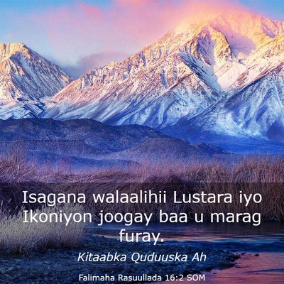 Picture 03 - Falimaha Rasuullada 16:2 SOM - Isagana walaalihii Lustara iyo Ikoniyon joogay - Bible Verse Picture